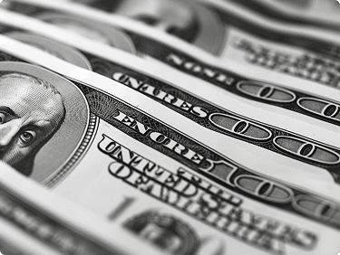 Investment & Capital Access